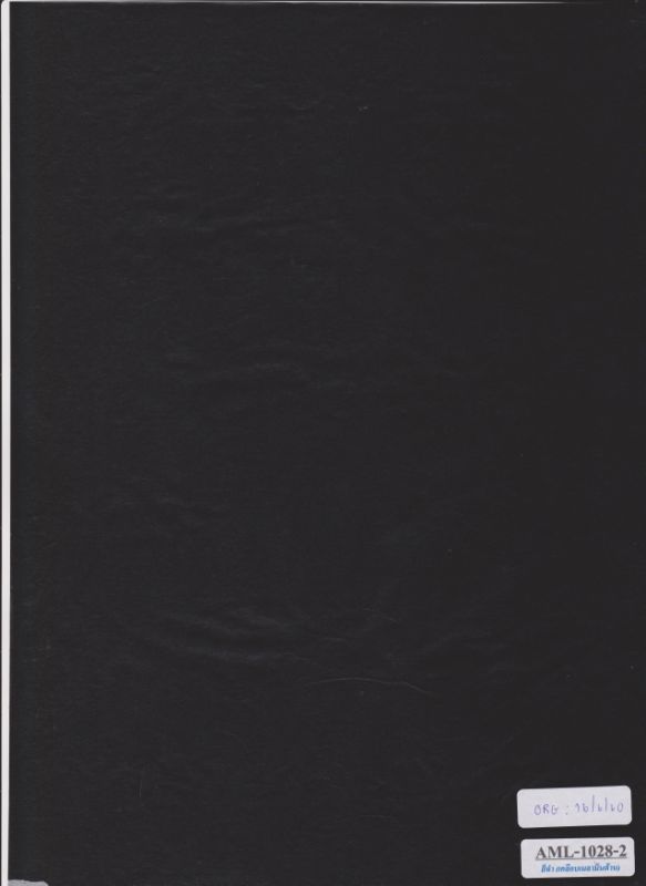 AML-1028-2